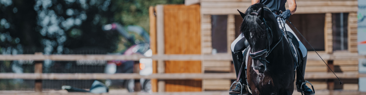 Training & Advice Image