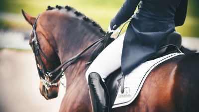 Terranova CDI 4* FEI Grand Prix Special