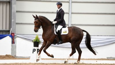 British Dressage Winter Area Festival 2023 Northallerton Equestrian