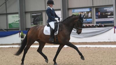 British Dressage Premier League 2023 Vale View Equestrian
