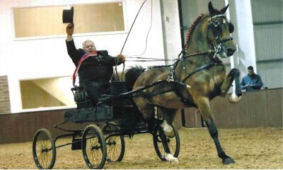 The Hackney Horse Society Championship Show 2023 Addington Equestrian