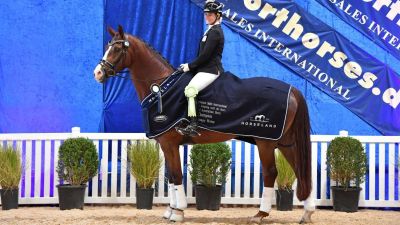 PSI Dressage and Jumping with the Stars 2023 Werribee Australia