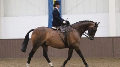 National Side Saddle Show 2023 Bury Farm