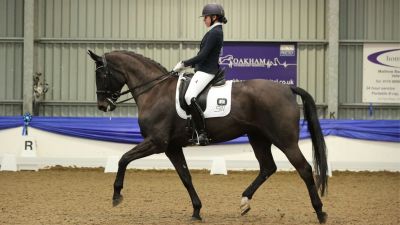 Petplan Equine Summer Area Festival Championships 2023 Arena UK