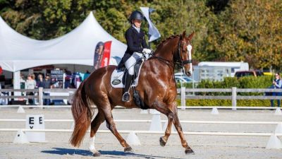 ORO Dressage by the Lake 2023 Takapoto Estate Maungatautari New Zealand