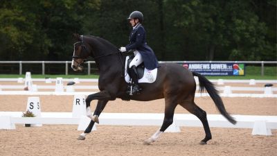 CPEDI2* & CPEDI3* Wellington Riding 2023