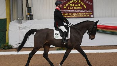 British Dressage Winter Regionals 2024 Myerscough College