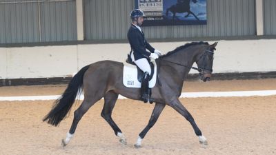 British Dressage Winter Regionals 2024 Wellington Riding