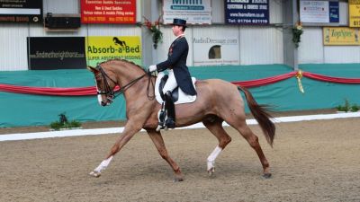 British Dressage Premier League 2024 Myerscough College