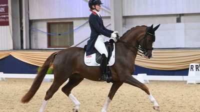 British Dressage Summer Area Festival Championships 2024 Arena UK