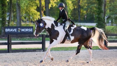 Brave Horse I 2024 Johnstown Ohio USA