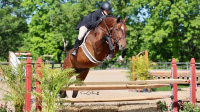 Brave Horse II 2024 Johnstown Ohio USA