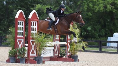 Brave Horse III 2024 Johnstown Ohio USA