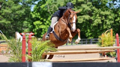 Brave Horse IV 2024 Johnstown Ohio USA
