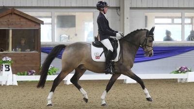 British Dressage Winter Regionals 2025 Arena UK