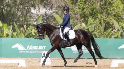2025 Pacific Coast Dressage CDI Galway Downs Equestrian Centre Temecula California USA