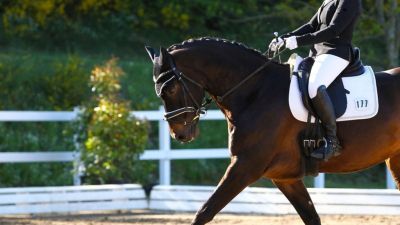 British Dressage Premier League 2025 Addington UK