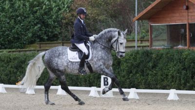 British Dressage Premier League 2025 Chard Equestrian UK