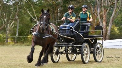 Australian Carriage Driving Nations Cup and Ashes 2025 The Southern Highlands Carriage Club Bundanoon NSW Australia