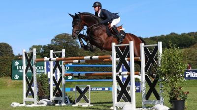 The National Pony Championships 2025, Mullingar Equestrian Centre, Ireland